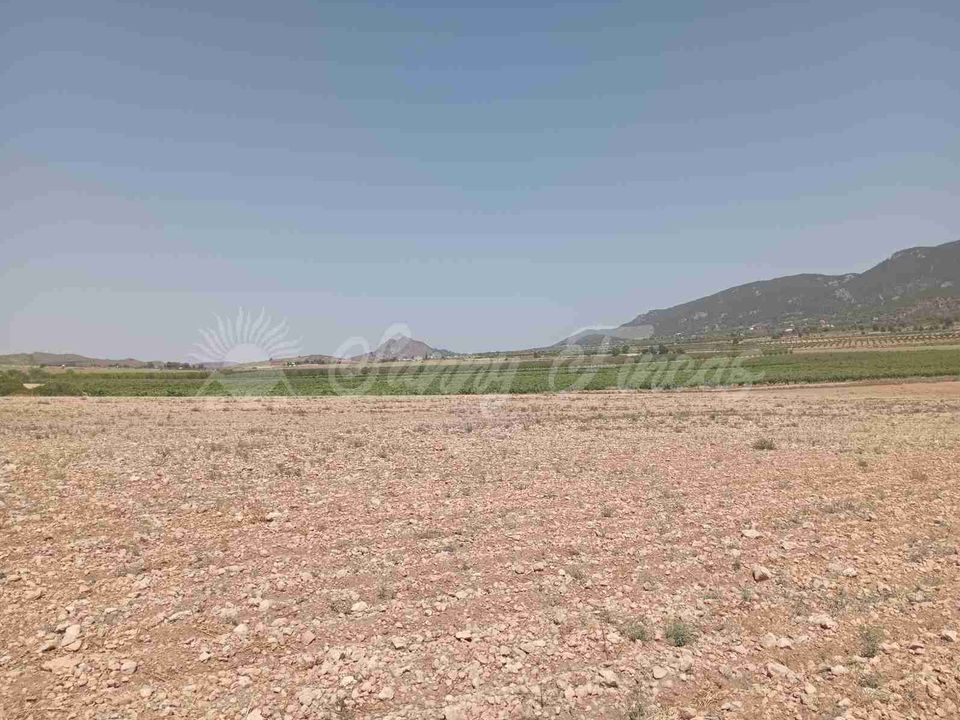 Helårsgrund i Yecla, Murcia - foto 2